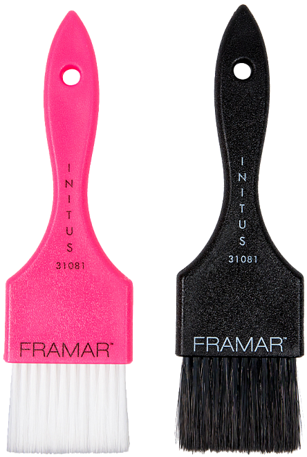 Framar Power Painter 2-Pack