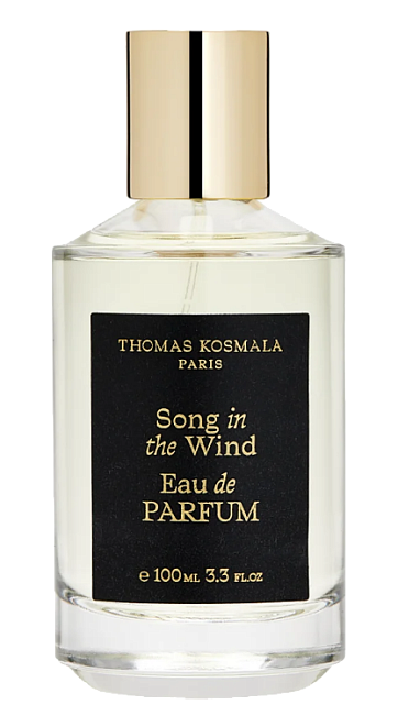 Thomas Kosmala Song In The Wind