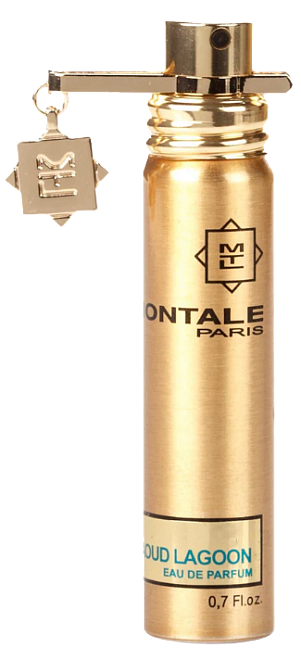 Montale Aoud Lagoon